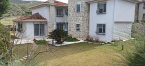 Taşkule villa